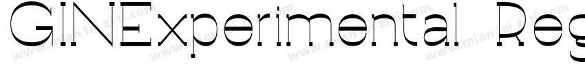 GINExperimental Regu字体转换